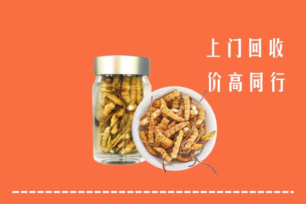 科尔沁左翼后旗回收冬虫夏草
